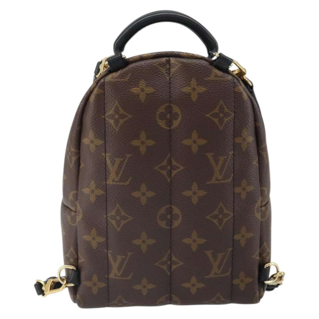 Louis Vuitton Palm Springs Backpack Brown Canvas Good condition - Back View