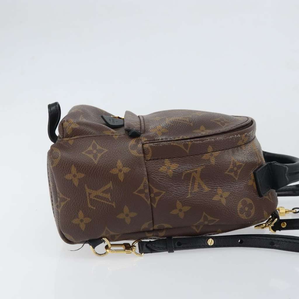 Louis Vuitton Palm Springs Backpack Brown Canvas Good condition - Inside View