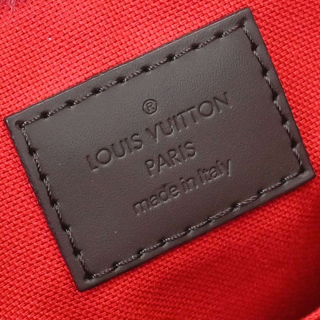 Louis Vuitton Siena Handbag Brown Canvas Good condition - Model View