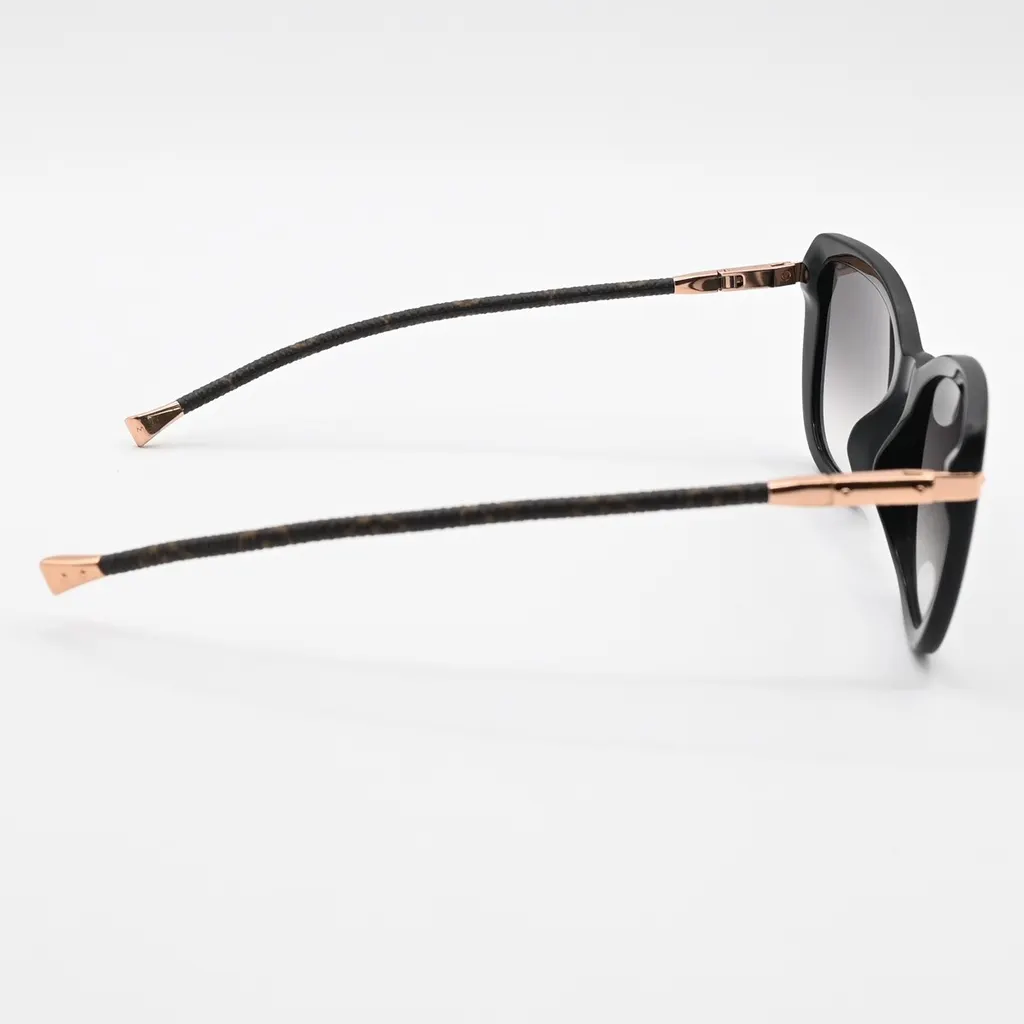 Louis Vuitton Charlotte Sunglasses Black Plastic Good - Box View