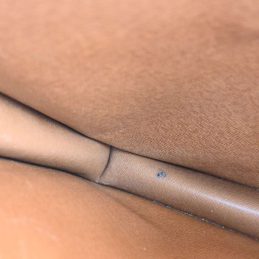 Louis Vuitton Porte-Documents Senateur Bag Brown Canvas Good condition - Inside View