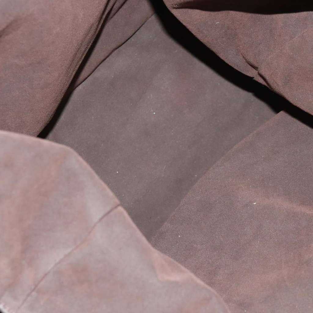 Louis Vuitton L Hobo Brown Very good condition - Box View