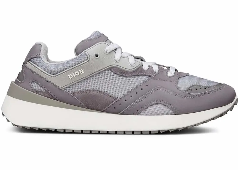 Dior B29 Grey Suede Never worn - Box View