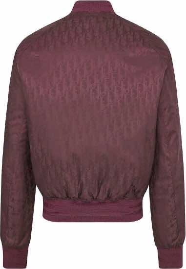 Dior Oblique - Back view