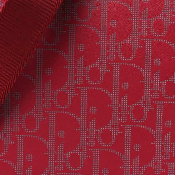 Dior Galaxy World Tour - Detail 1