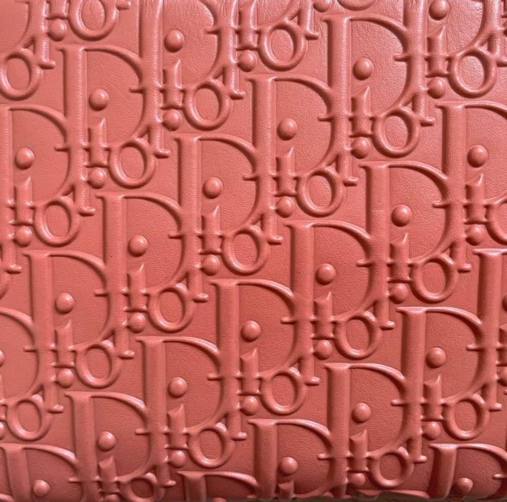 Dior Oblique - Back view