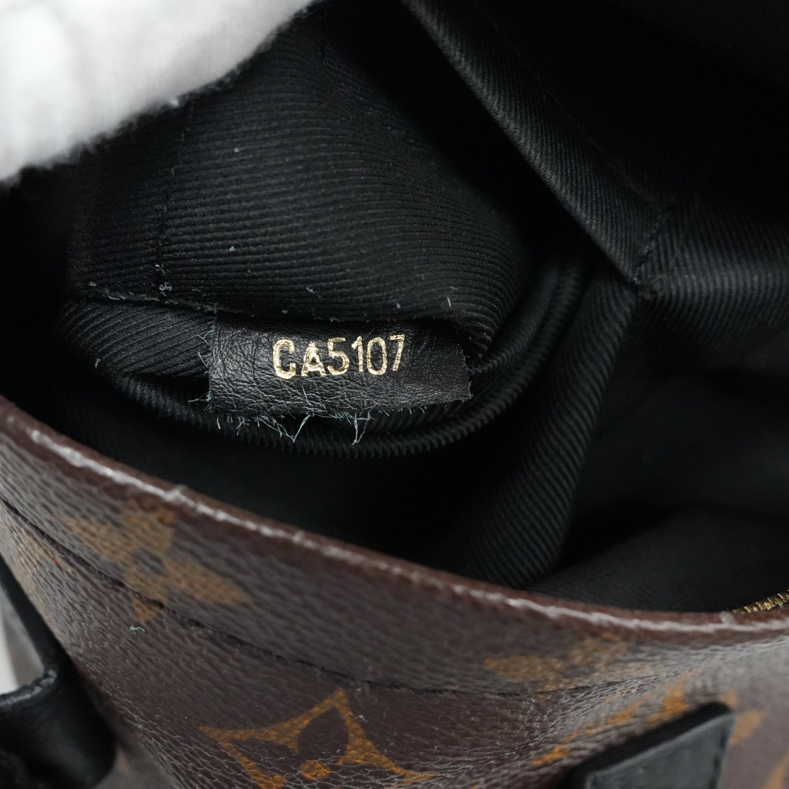 Louis Vuitton Monogram Palm Springs MINI Backpack M44873/CA5107 - Detail 1