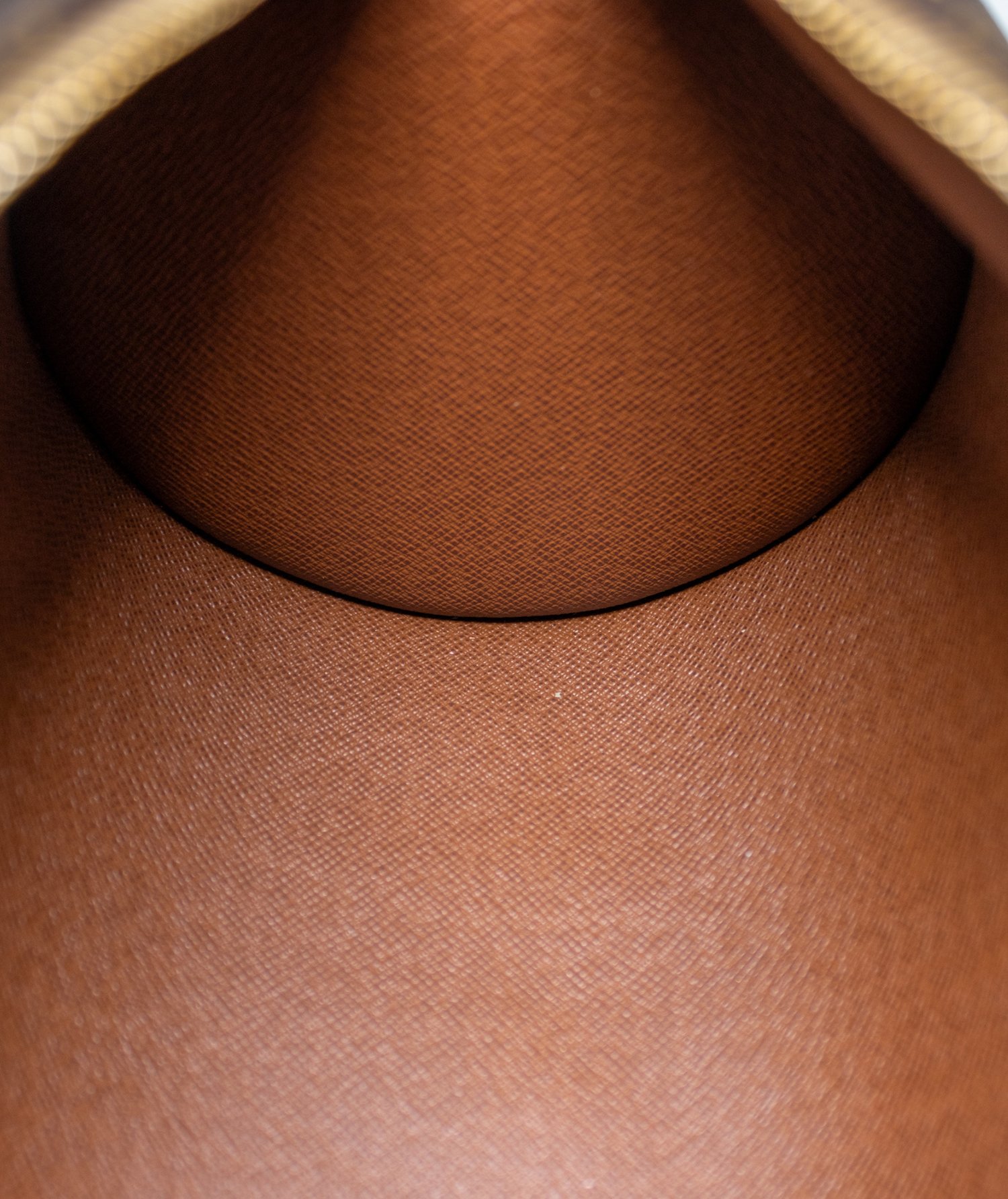 Louis Vuitton Monogram Canvas Papillon 26 bag - Detail 1