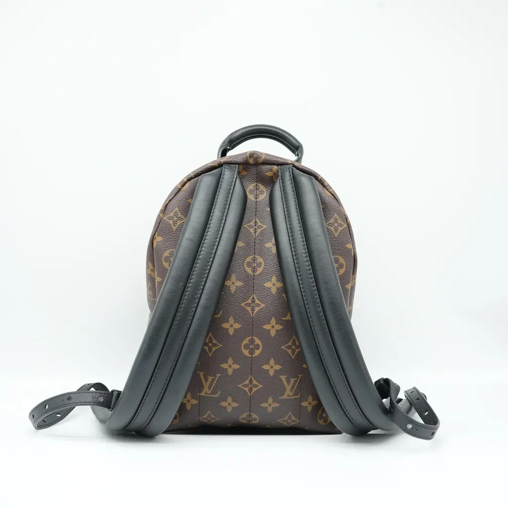 Louis Vuitton Monogram Reverse Palm Springs PM Backpack M44870 Gold Good - Model View