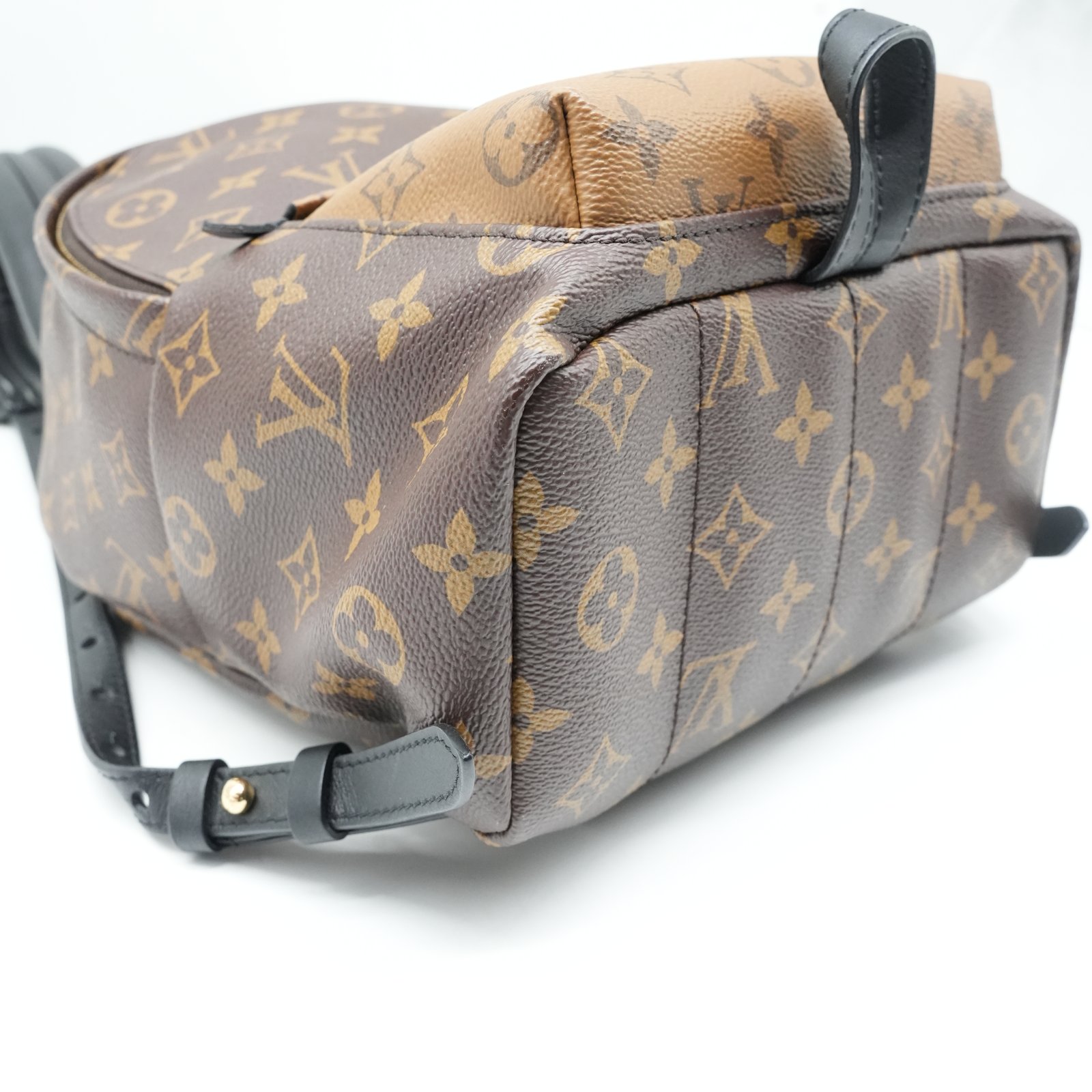 Louis Vuitton Monogram Reverse Palm Springs PM Backpack M44870 - Detail 1