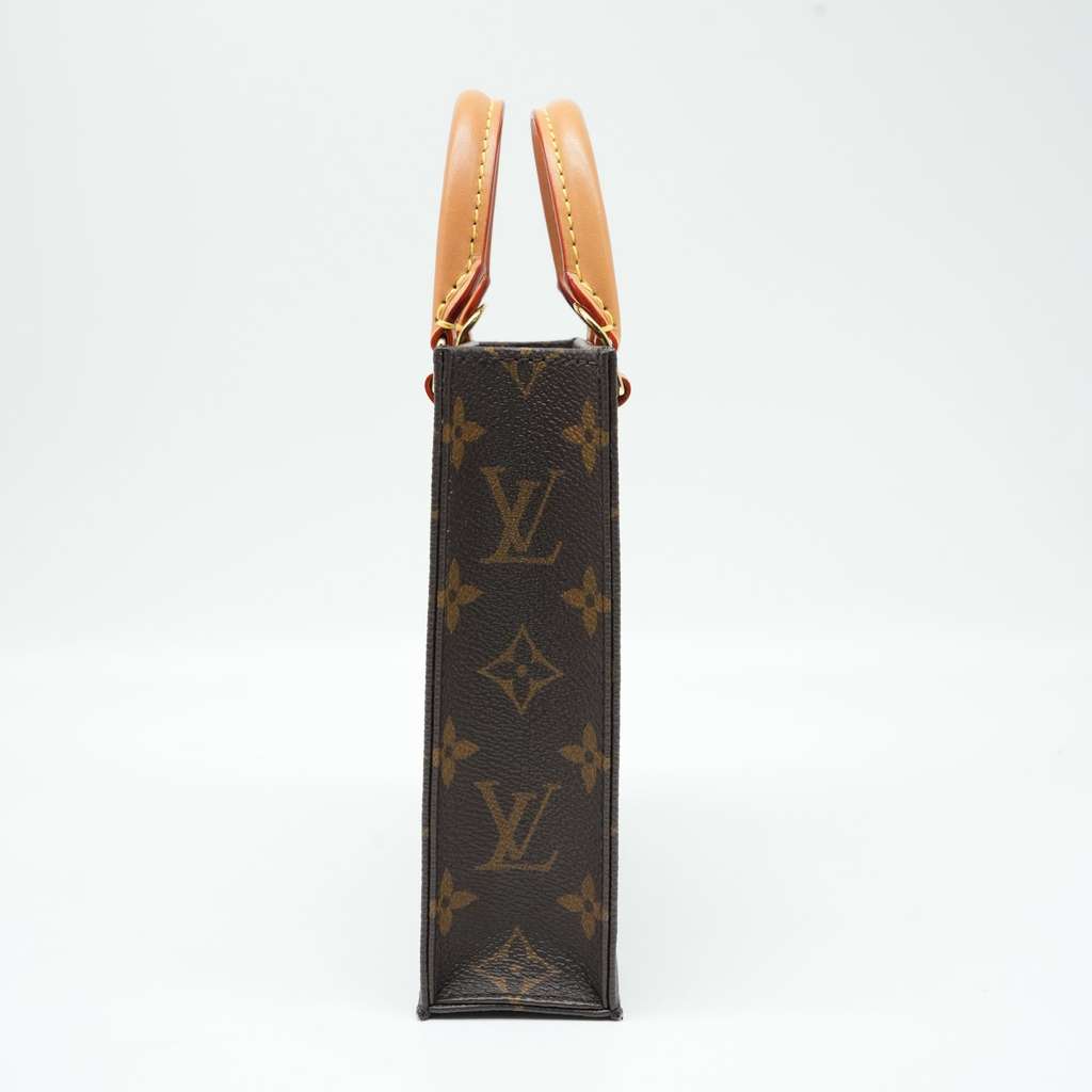 Louis Vuitton Monogram Petit Sac Plat Bag M81295 - Back view