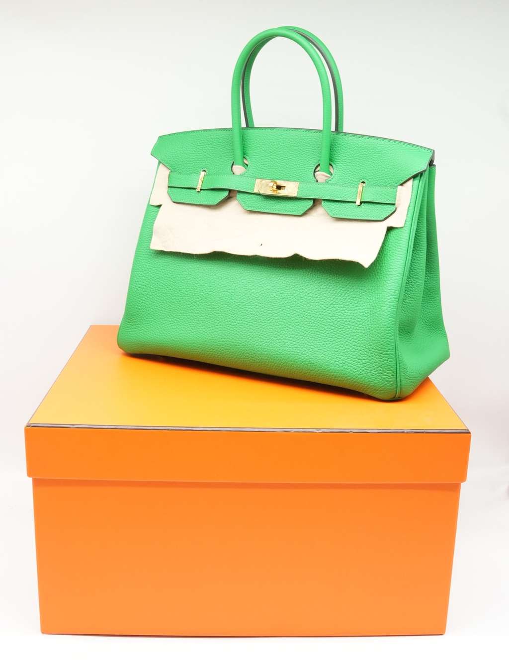 Hermès Size 35 (Stamp Y) 2020 Taurillon Clemence Leather Bambou Green Birkin - Image 26