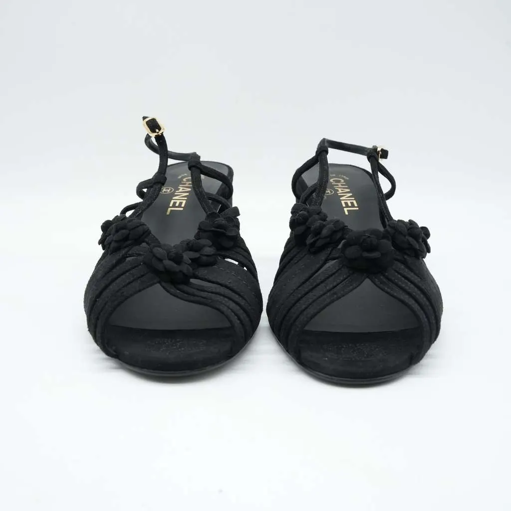 Chanel Black Suede Mule Sandals Camellia Flower Gold Tone Buckle Size 40C Black Suede Fair - Box View